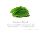 Natural remedy for bad breath